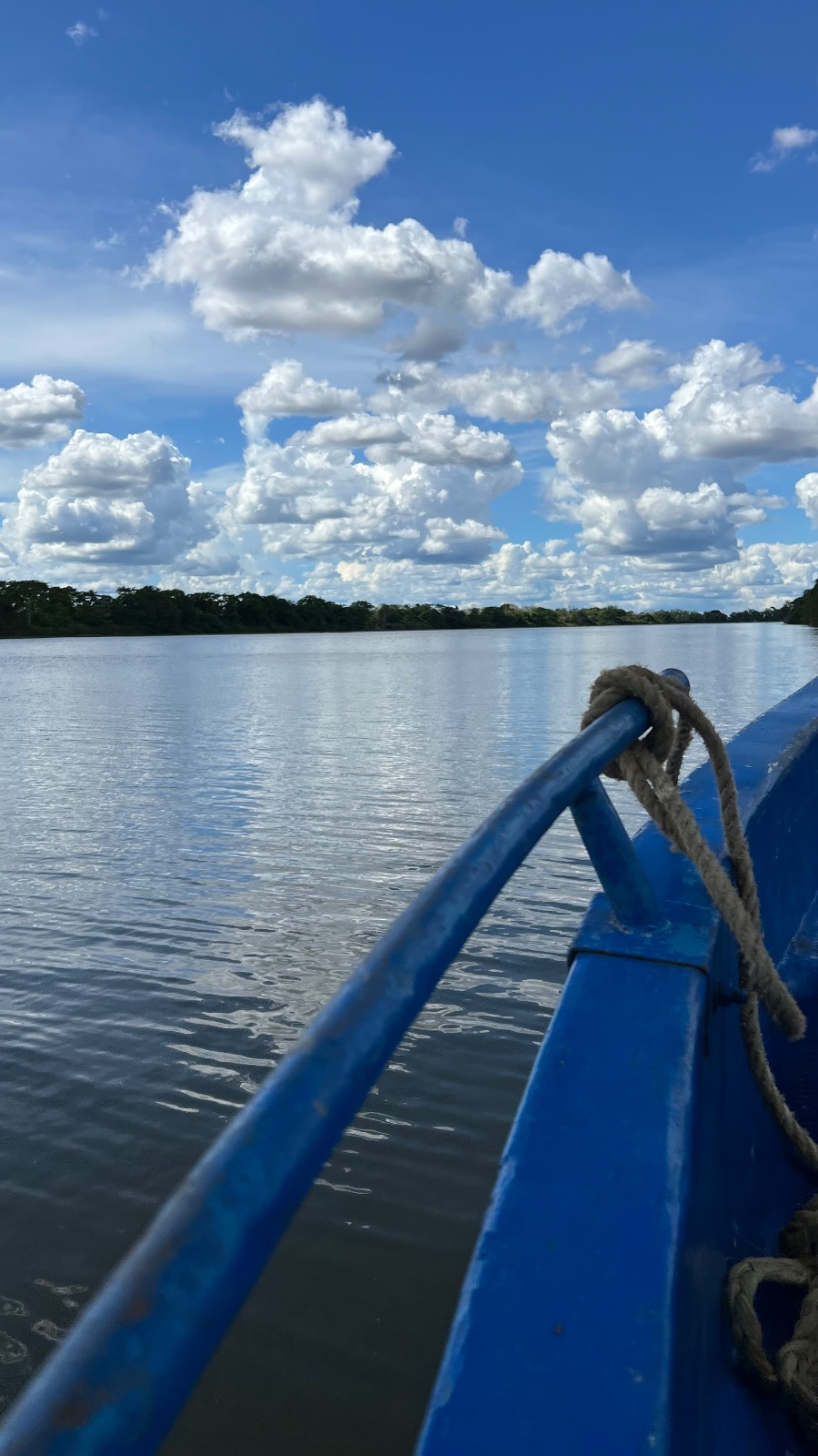 Delta del Orinoco (Venezuela)