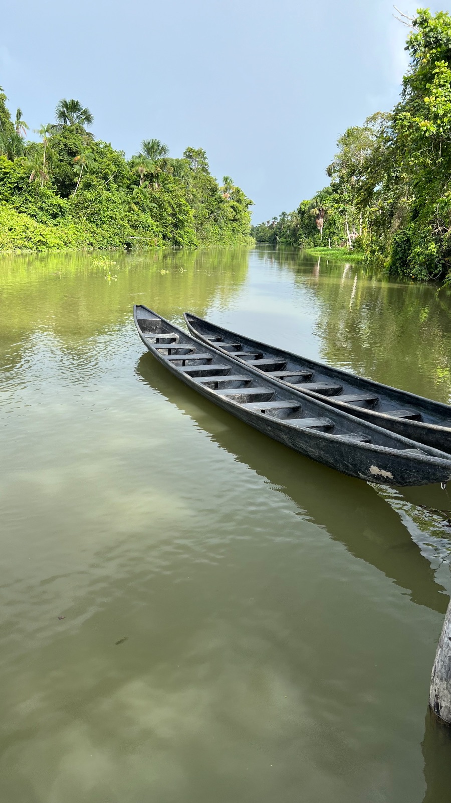 Delta del Orinoco (Venezuela)