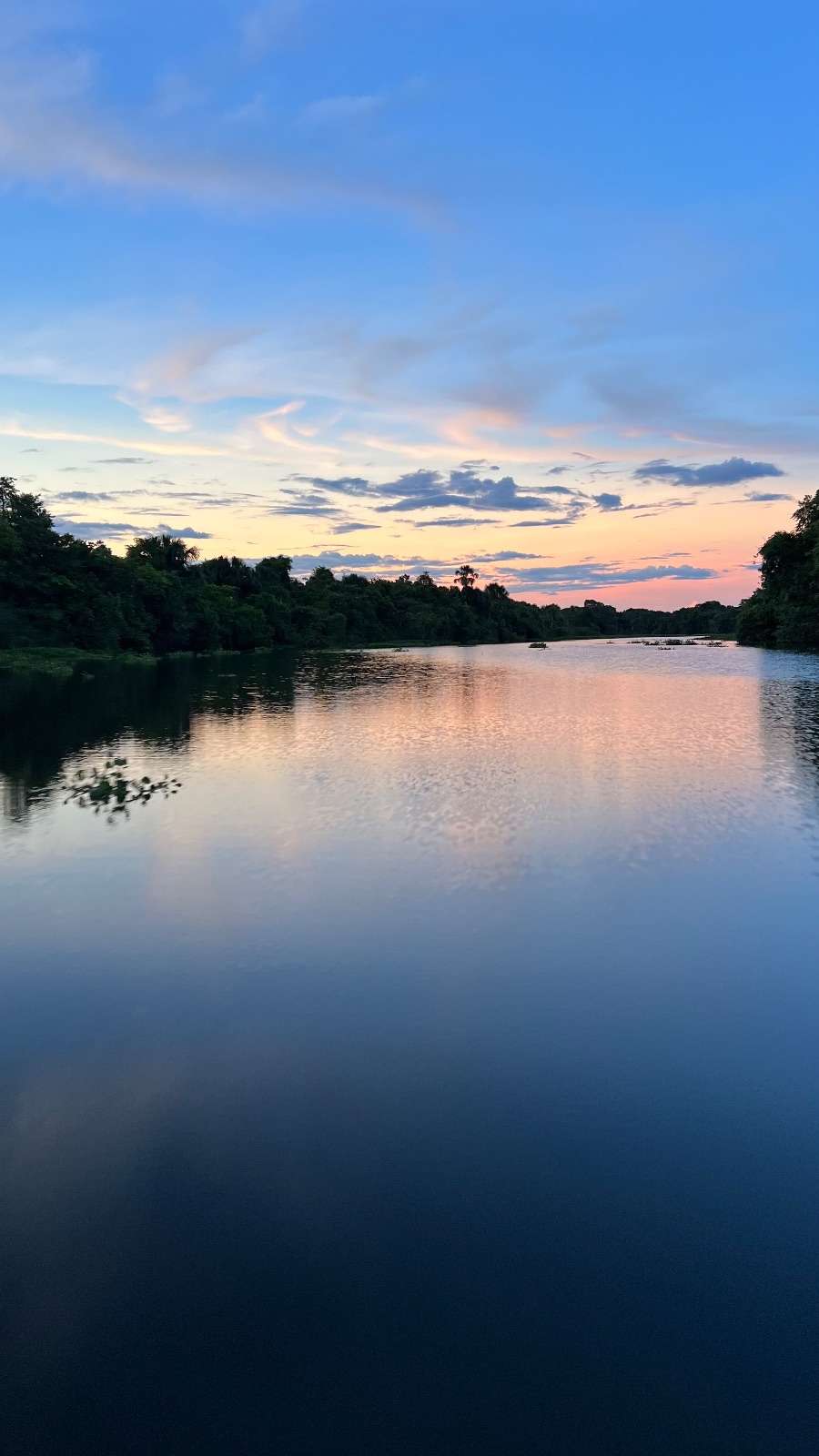 Delta del Orinoco (Venezuela)