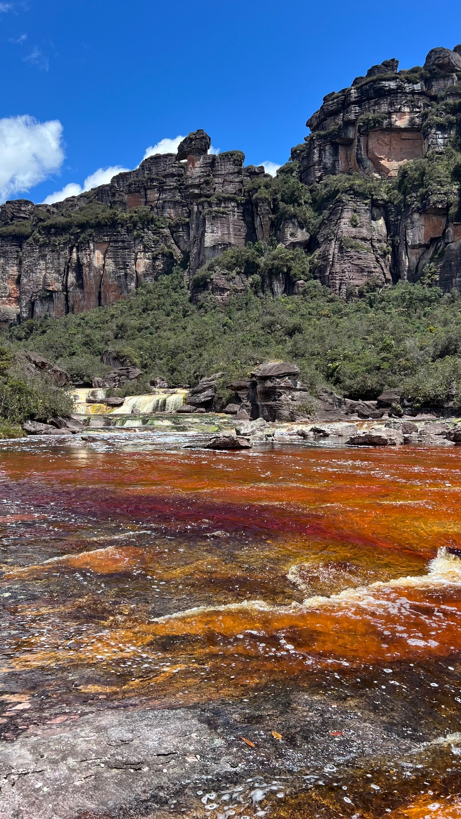 Canaima (Venezuela)