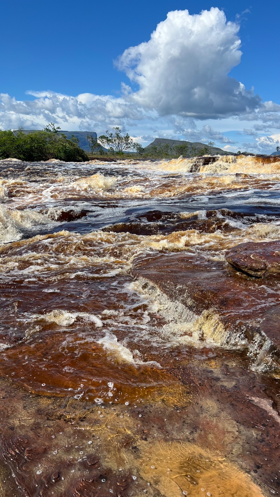 Canaima (Venezuela)