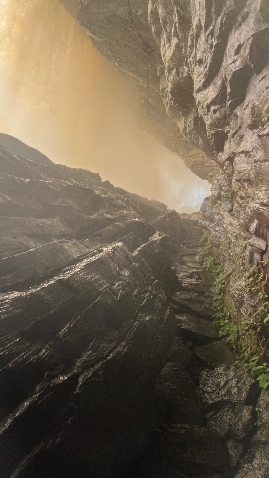 Canaima (Venezuela)