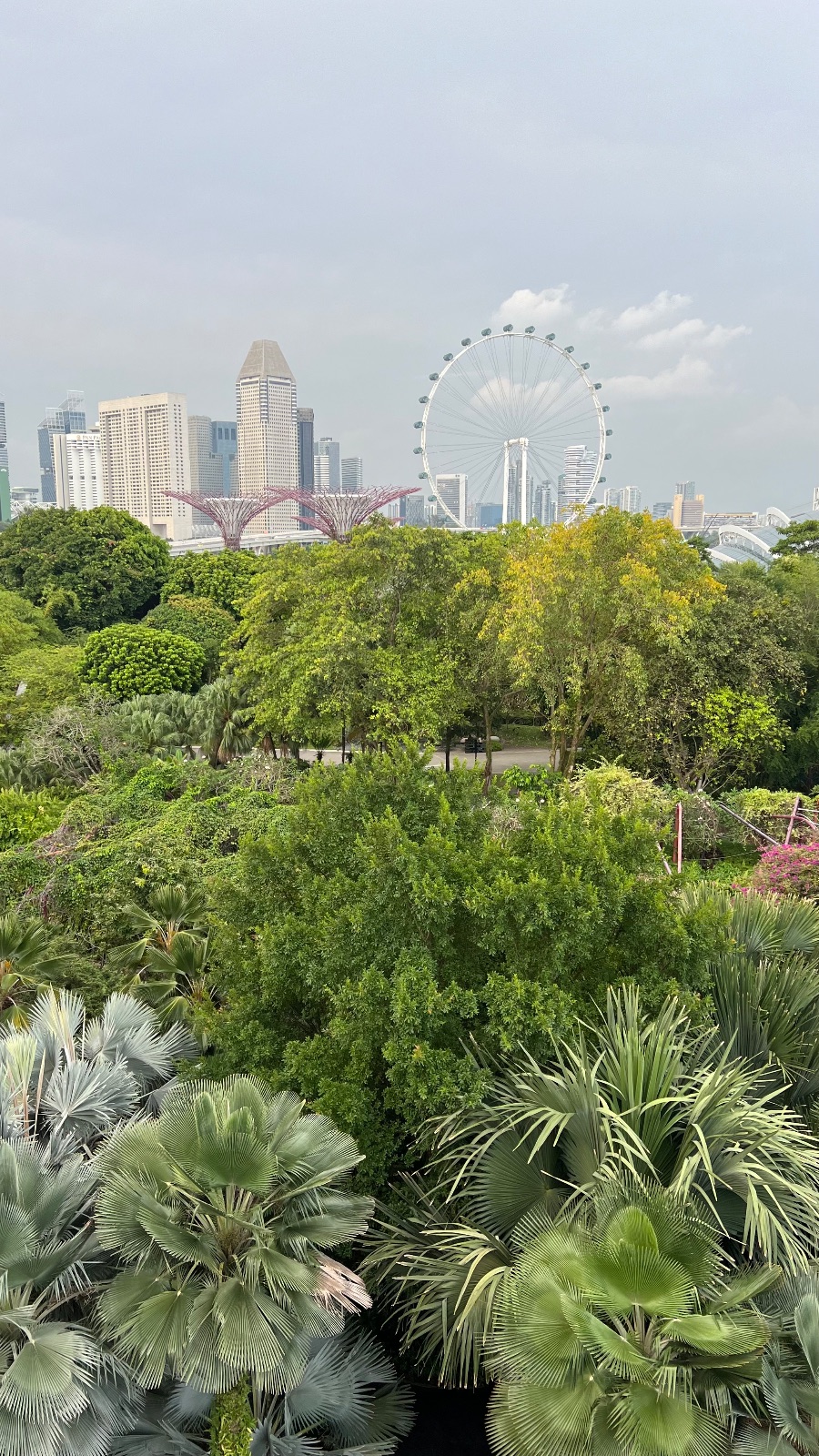 Singapur