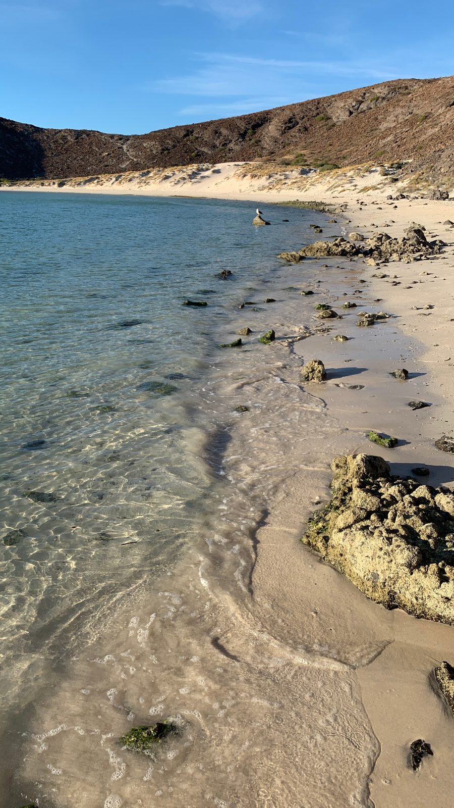 Playa Balandra