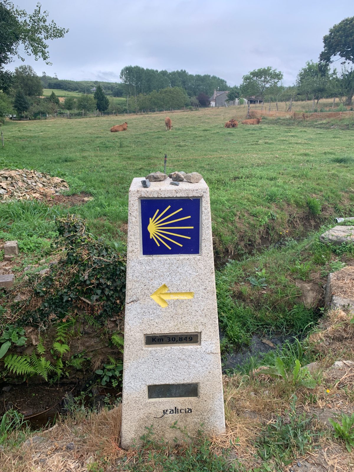 Camino