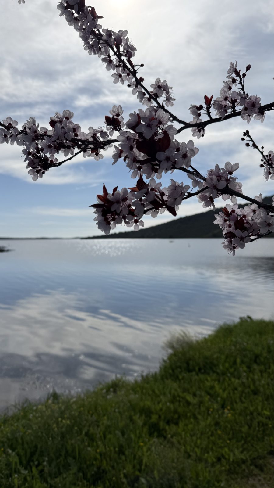 Barco navegando por el Gran Lago Alqueva en Portugal